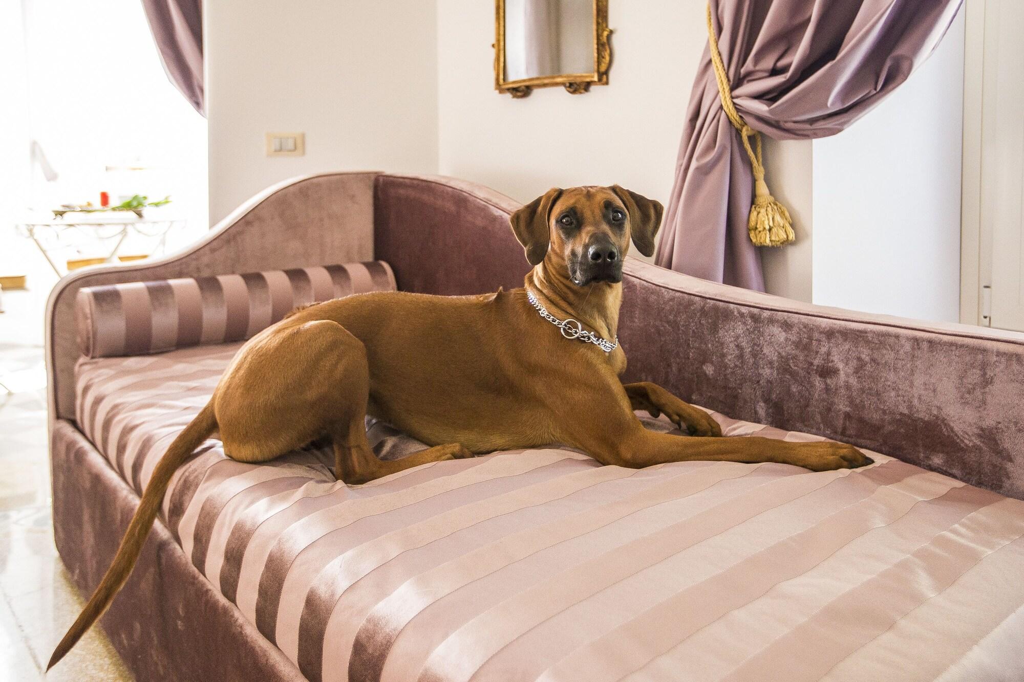 Trastevere Royal Suite Rome Luaran gambar